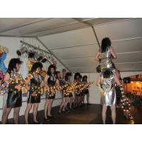 Strassen-_und_Hoffest 2014_087.jpg